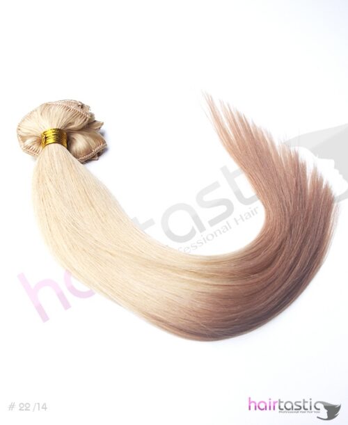 Blond / Ljusbrun Dip Dye Ombre Clip on set
